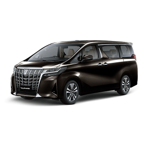 alphard-Graphite-Metallic-300x300-1.png